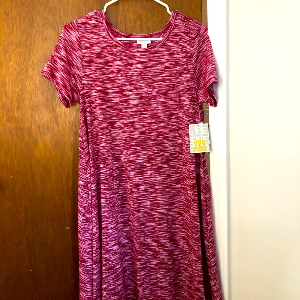 LuLaRoe Carly dress